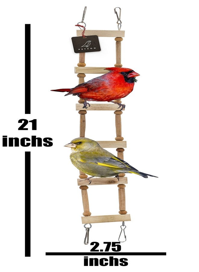 PETZOO Playful Bird Ladder Toy for Macaw, African Grey, Parrot, Cage Accessories, Resting Toy & Wooden Training Aid for Bird & Parrots - Image 4